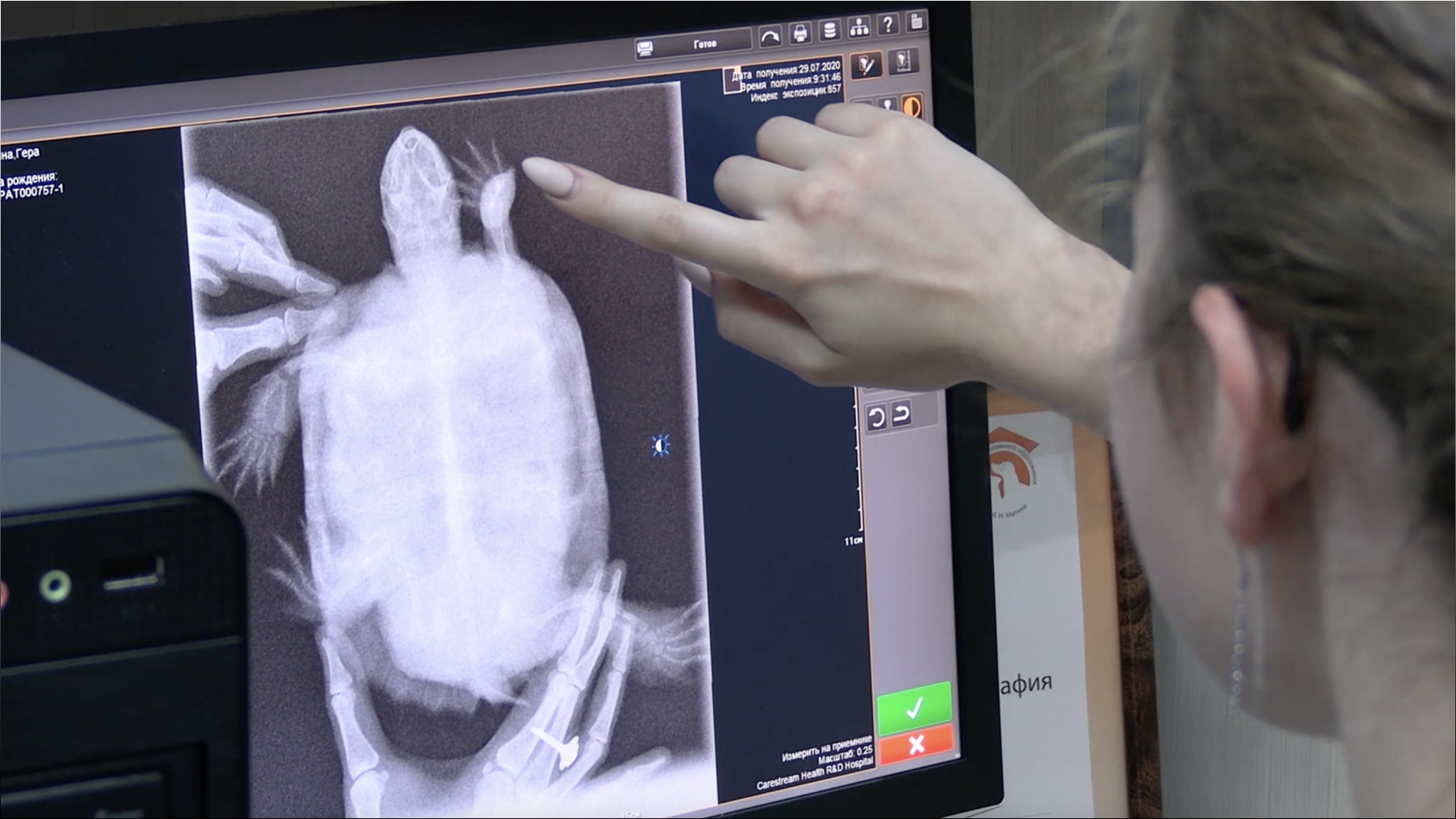 Как используется ионизирующее излучение в ветеринарии и сельском хозяйстве